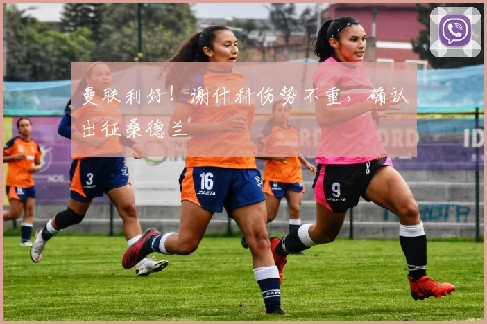 曼联利好!谢什科伤势不重,确认出征桑德兰
