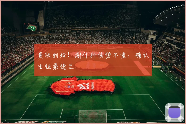 曼联利好!谢什科伤势不重,确认出征桑德兰